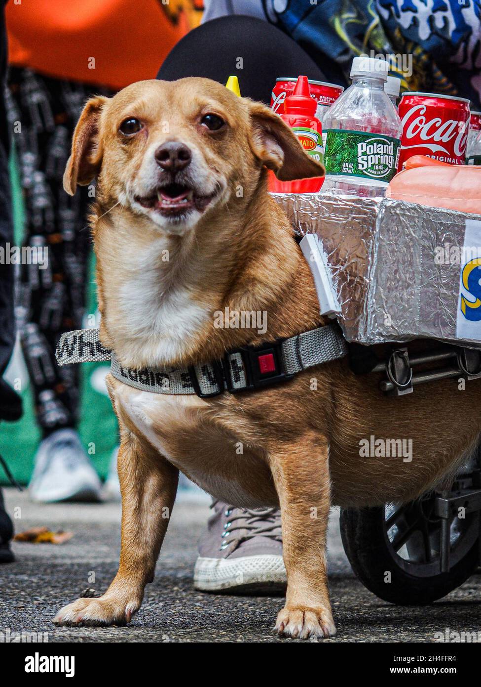 Hot dog contest winner hires stock photography and images Alamy