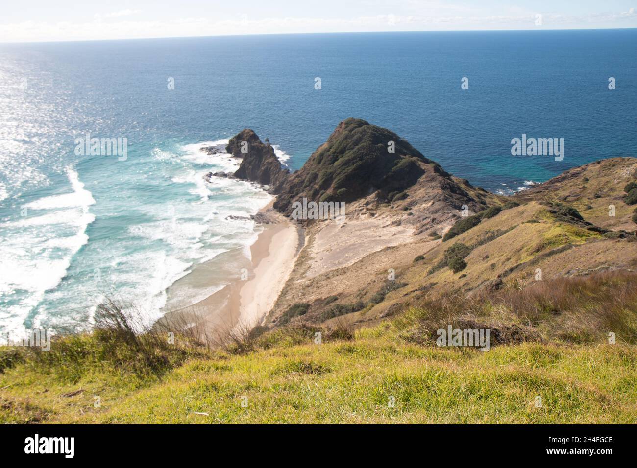 View from Cape Reinga looking down at the pohutukawa tree Stock Photo