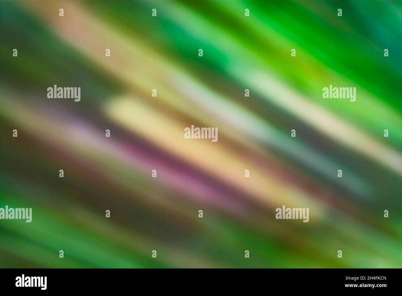 Abstract background in green tones with wide ragged diagonal multicolored lines with a slight blur. Unique backdrop. Stock Photo