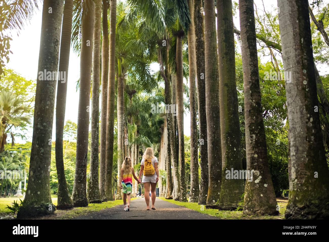 Tourists walk along the avenue with large palm trees in the Pamplemousse Botanical Garden on the island of Mauritius. Stock Photo