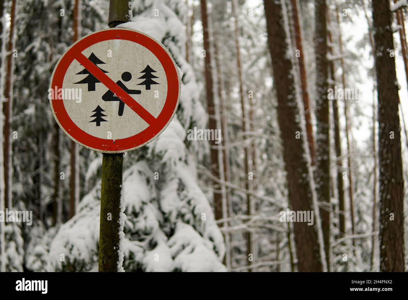 road sign not litter in the winter forest. high quality Stock Photo