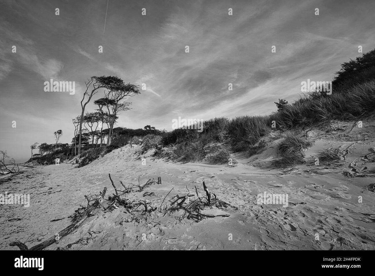 west beach on the baltic sea depicted in black and white. rich in ...