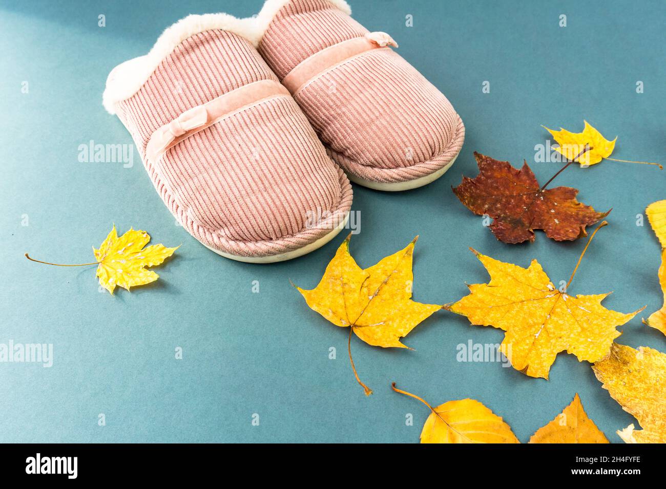 warm and comfort slippers with yellow leaves on green background. pink color. Stock Photo