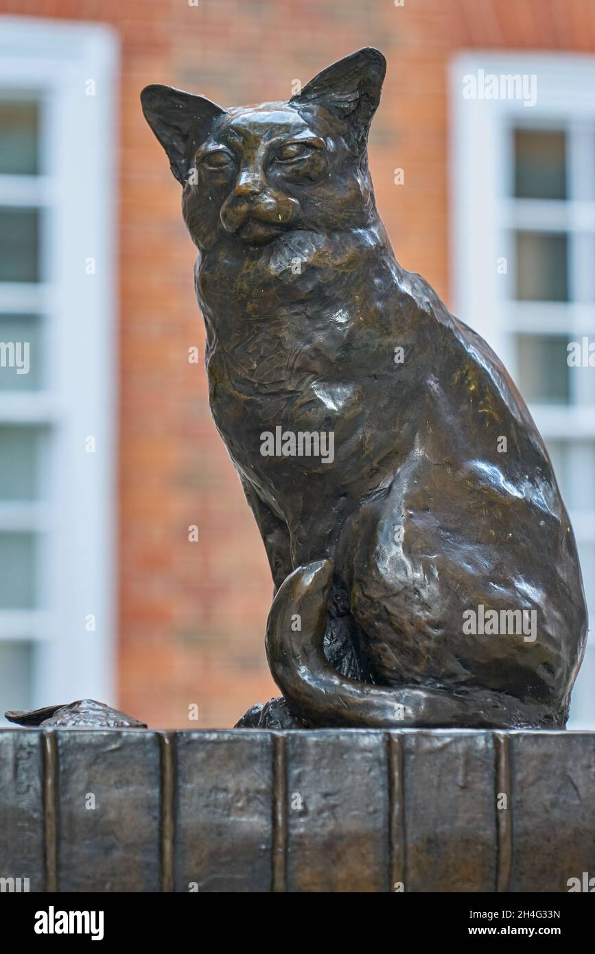 statue of hodge the cat dr Johnson Stock Photo