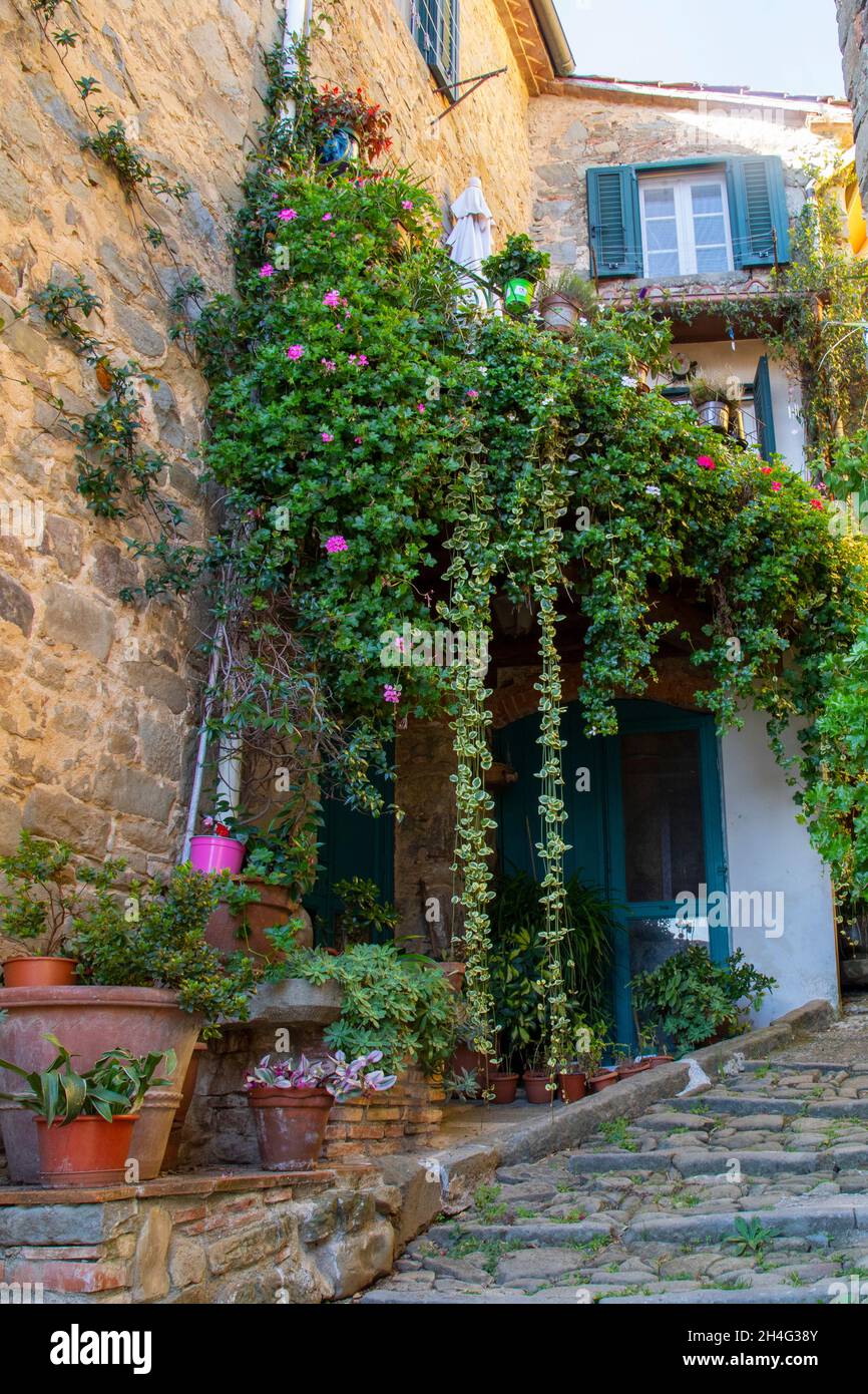 Flowery house in Ancient village in Tuscany of Italy Stock Photo - Alamy