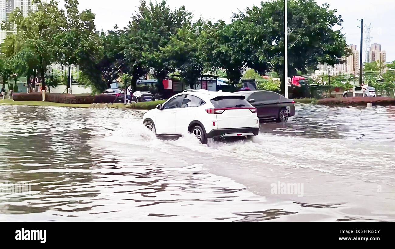 two cars, one white and one black, about to collide on a city street due to a flood with a lot of water. And behind a park with trees and a bus stop, Stock Photo