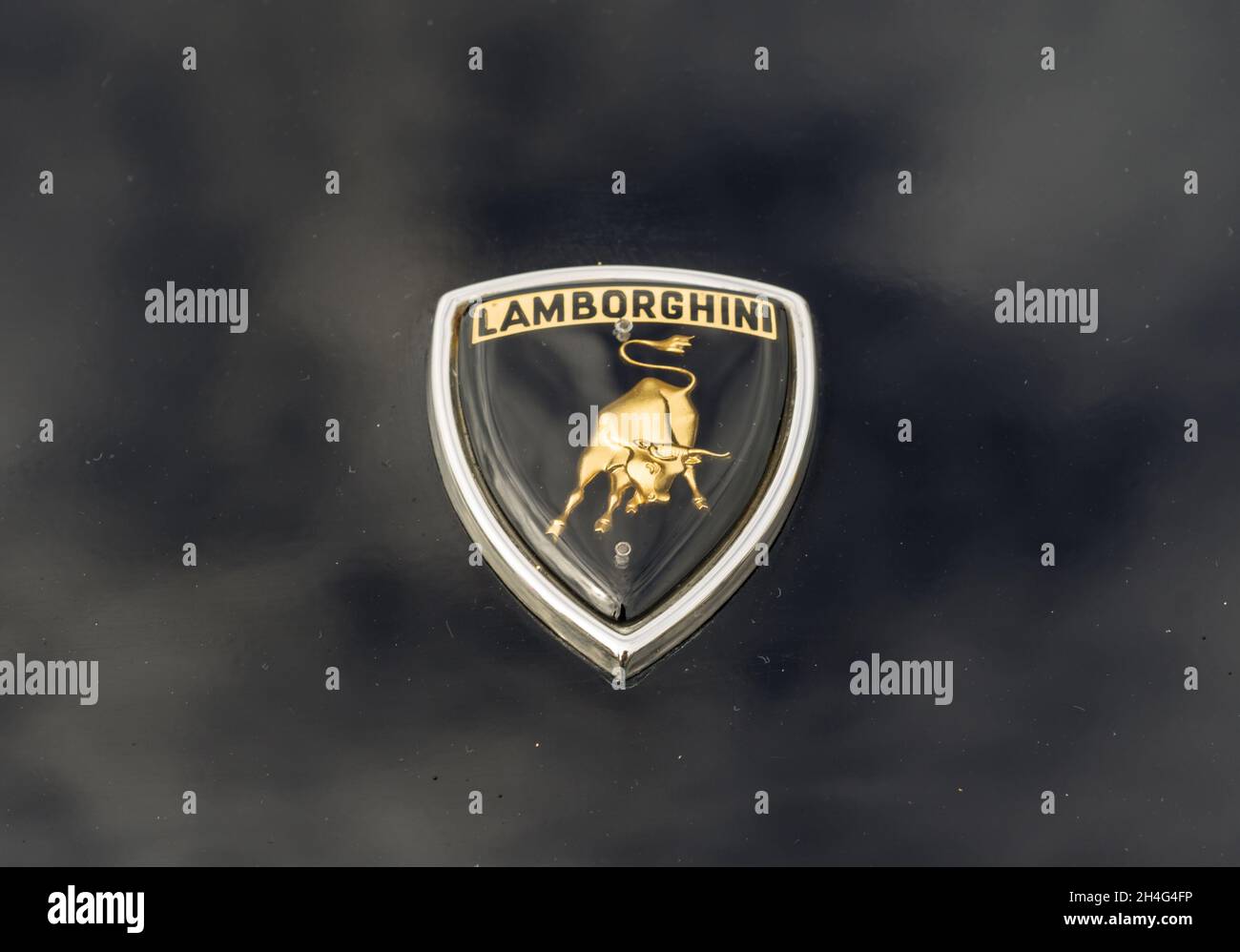 Close up detail of the logo emblem badge on the front of a black