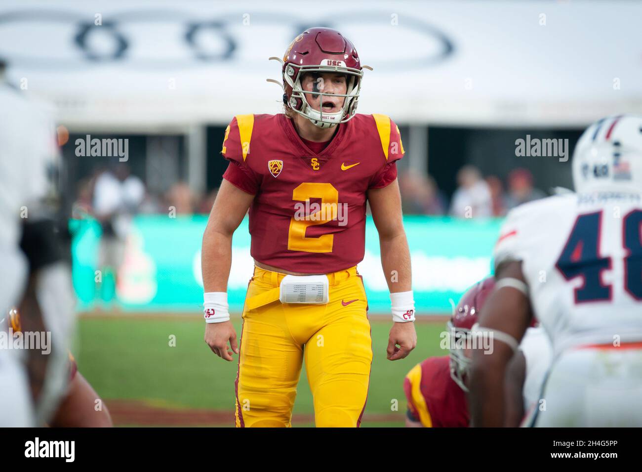 Jaxson dart hires stock photography and images Alamy(05)