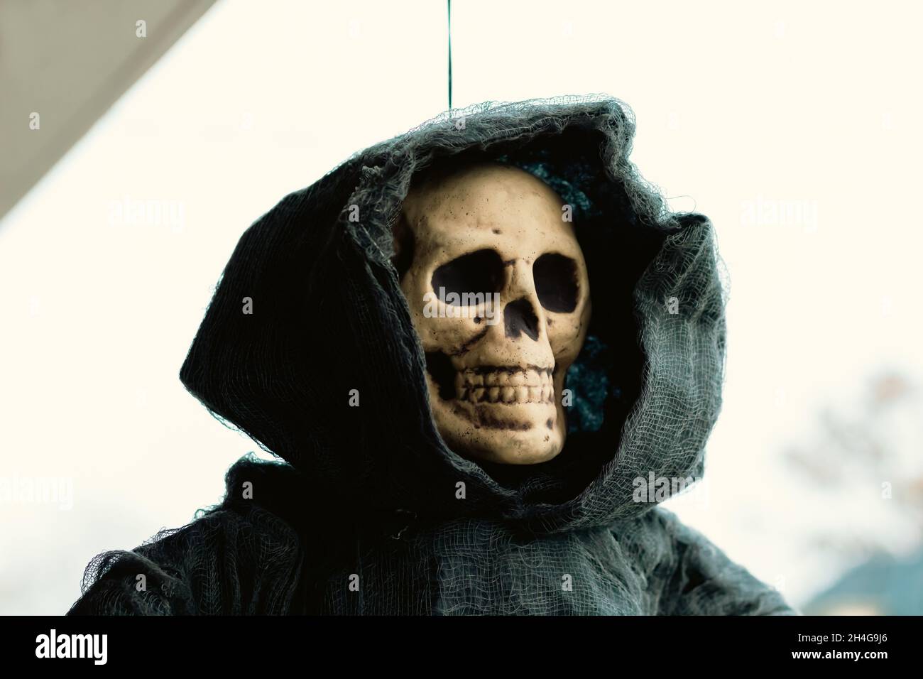 Human skeleton skull with black burlap head covering. Grim reaper Halloween decoration. Stock Photo