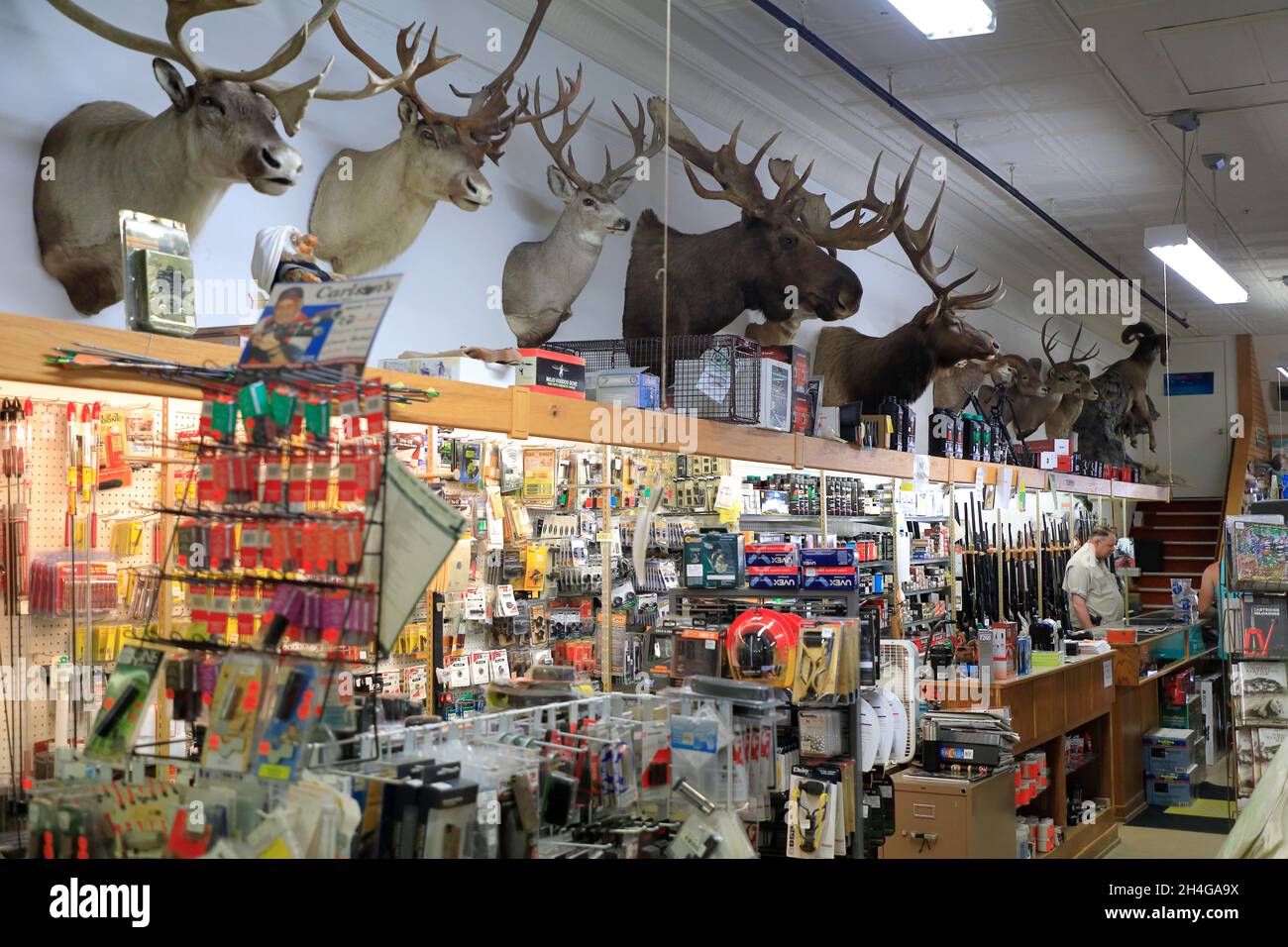 Interior view of the Sports Lure sports goods store on Main Street of Downtown Historic District