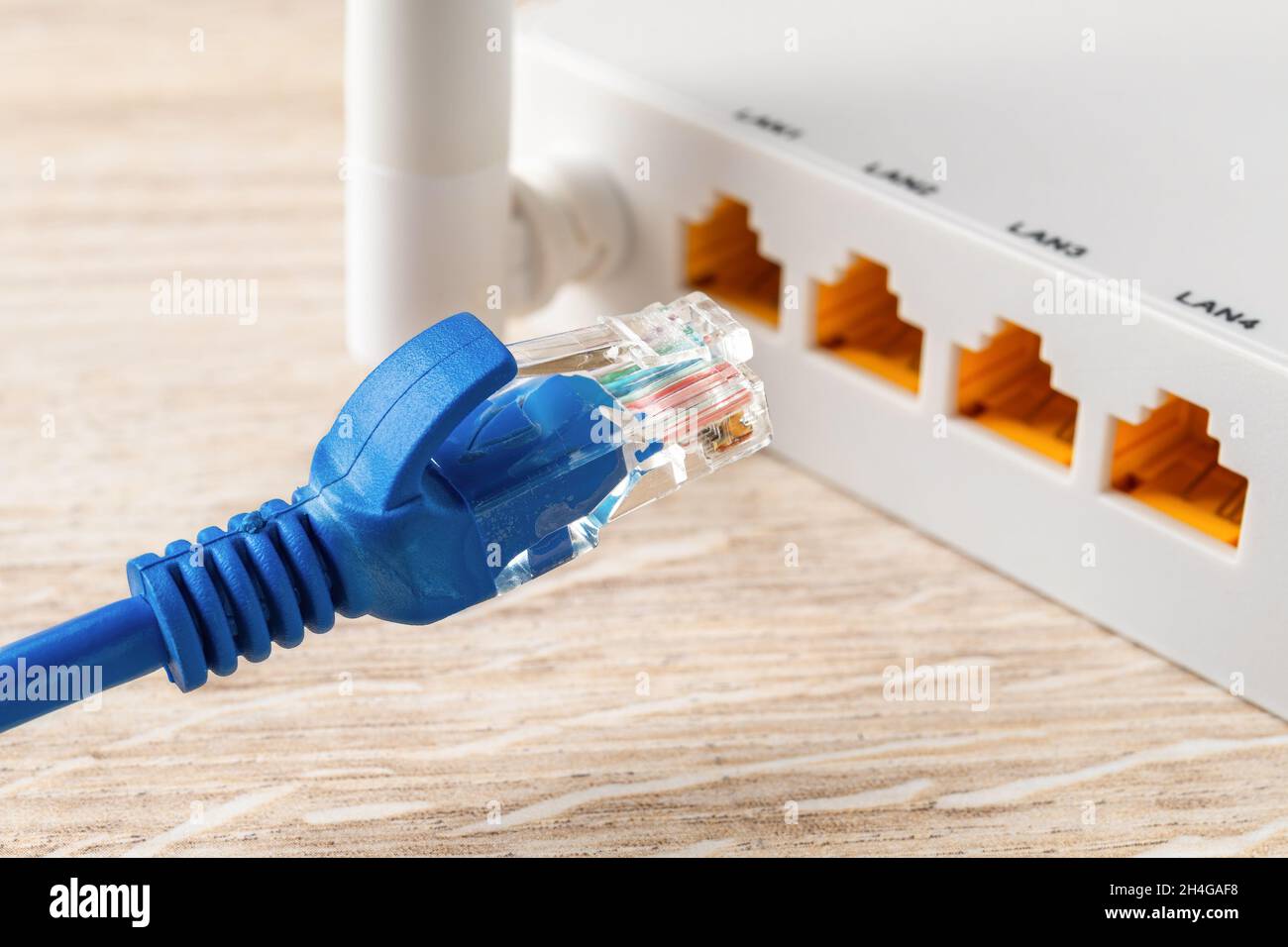 Blue network cable plug almost inserted into the yellow socket of white  wi-fi wireless router. Wlan router for home and office for internet  connection Stock Photo - Alamy