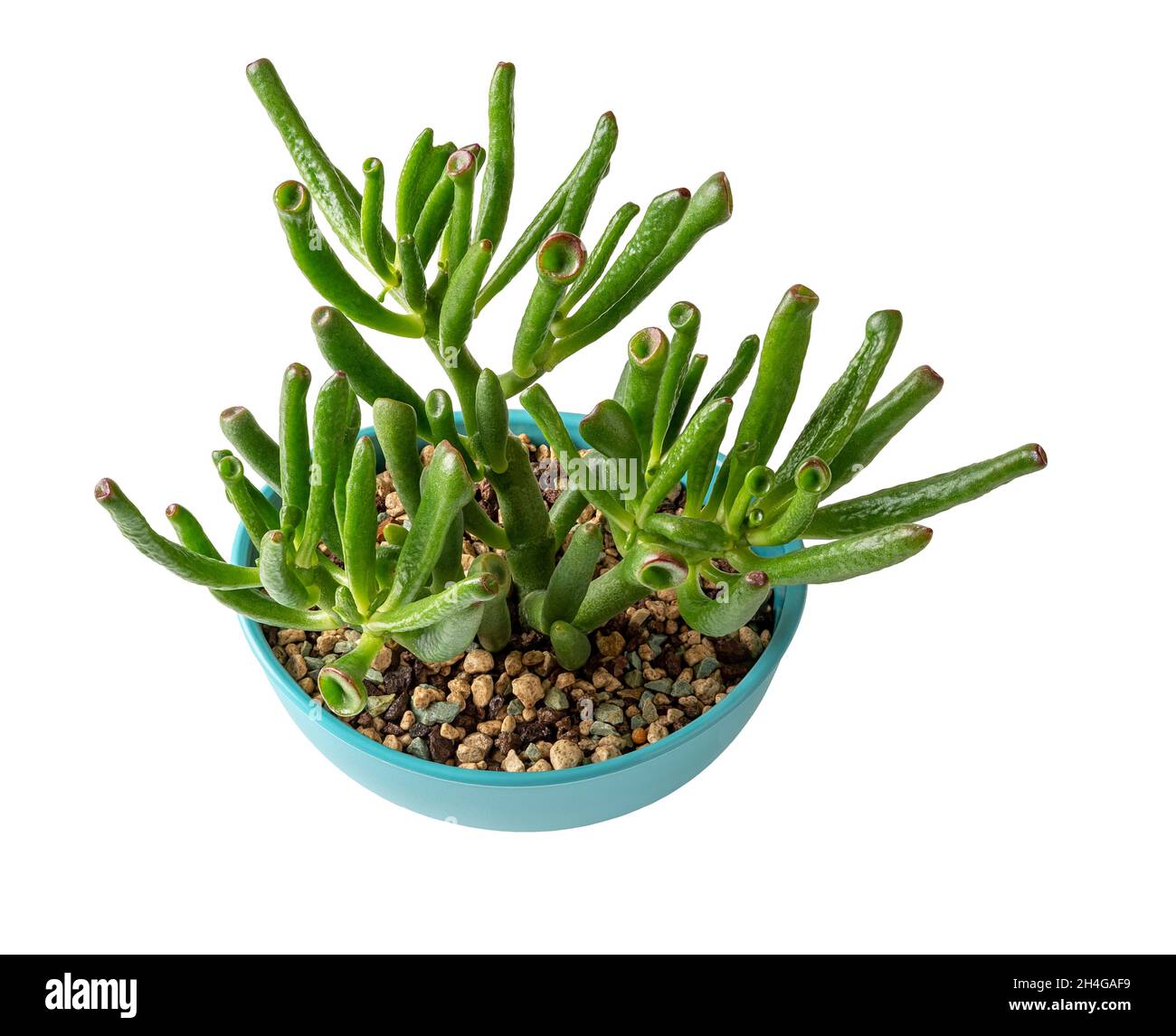 My Image 32
