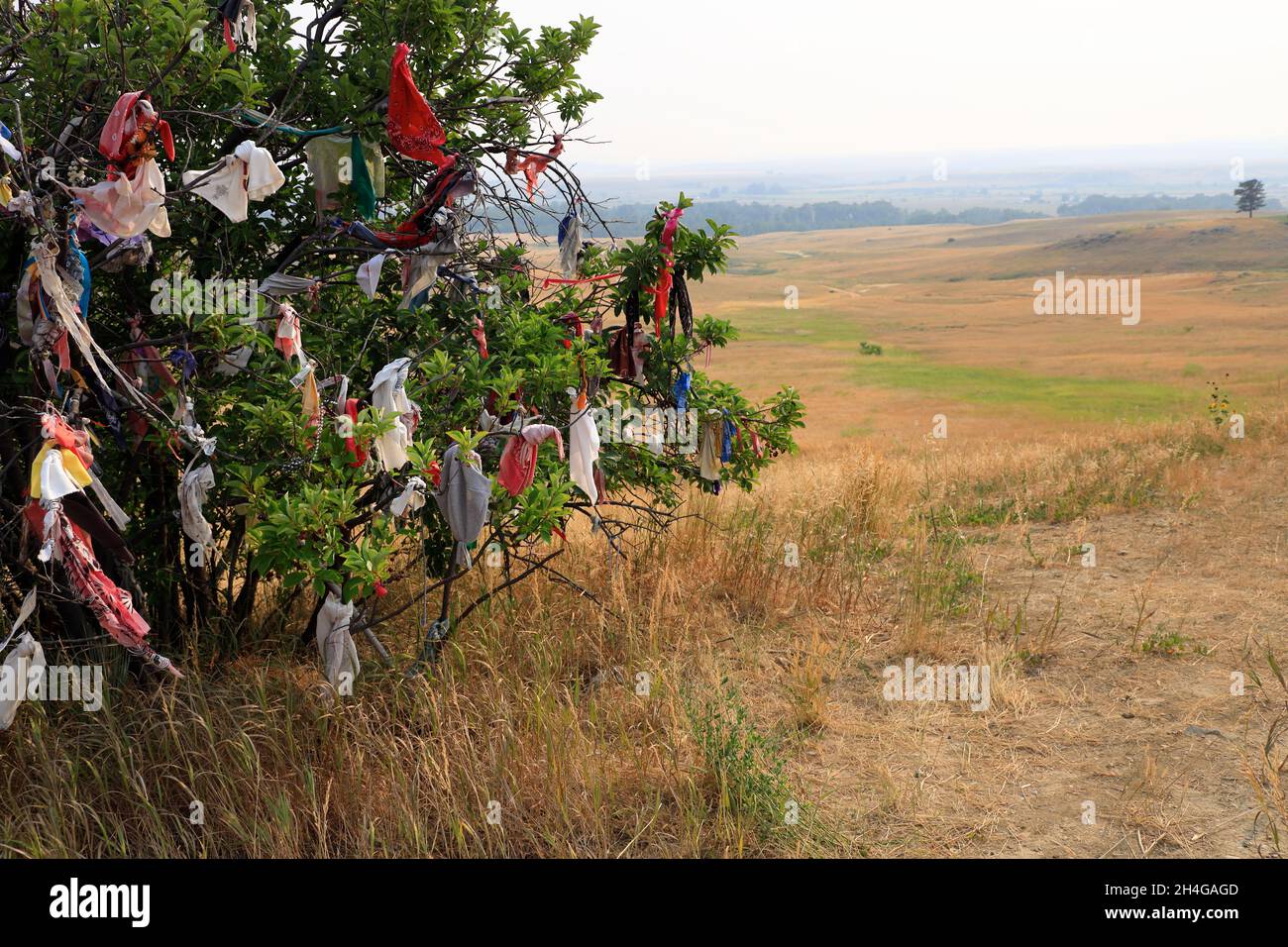 Native American Prayer Cloths Placed On Shrub In Little Bighorn Battlefield National Monument Crow Agency Montana Usa Stock Photo Alamy