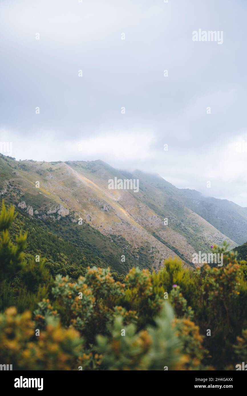 Vertical view from park hi-res stock photography and images - Alamy