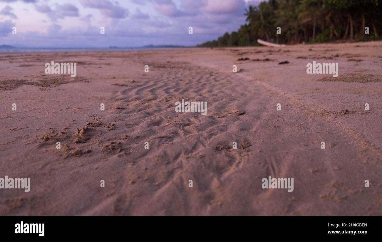 Mission Beach, Queensland, Australia Stock Photo Alamy
