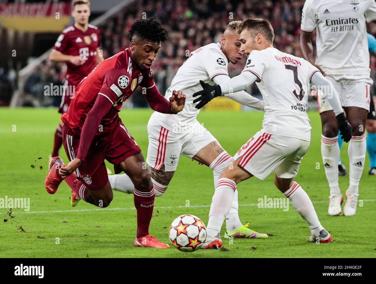 Munich, Germany. 2nd Nov, 2021. Kingsley Coman (L) of Bayern Munich breaks through the defense from Alejandro Grimaldo (R) of Benfica during a UEFA Champions League Group E match between Bayern Munich of Germany and SL Benfica of Portugal in Munich, Germany, on Nov. 2, 2021. Credit: Philippe Ruiz/Xinhua/Alamy Live News Stock Photo