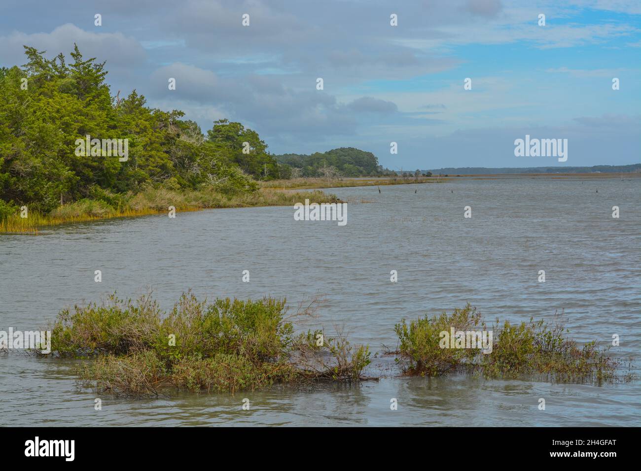 Hurricane Ida tidal surge raised the water level of the Chesapeake bay