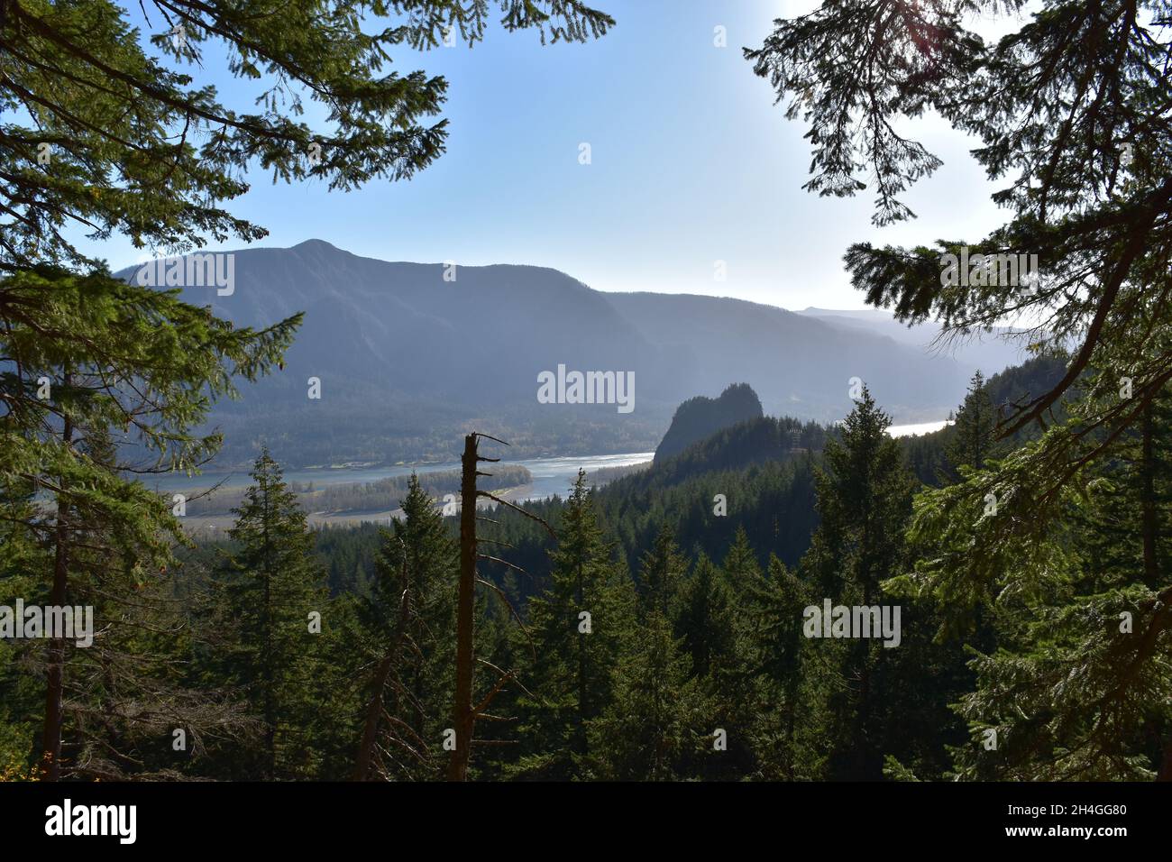 Views of Beacon Rock and the Columbia River from the Hamilton Mountain