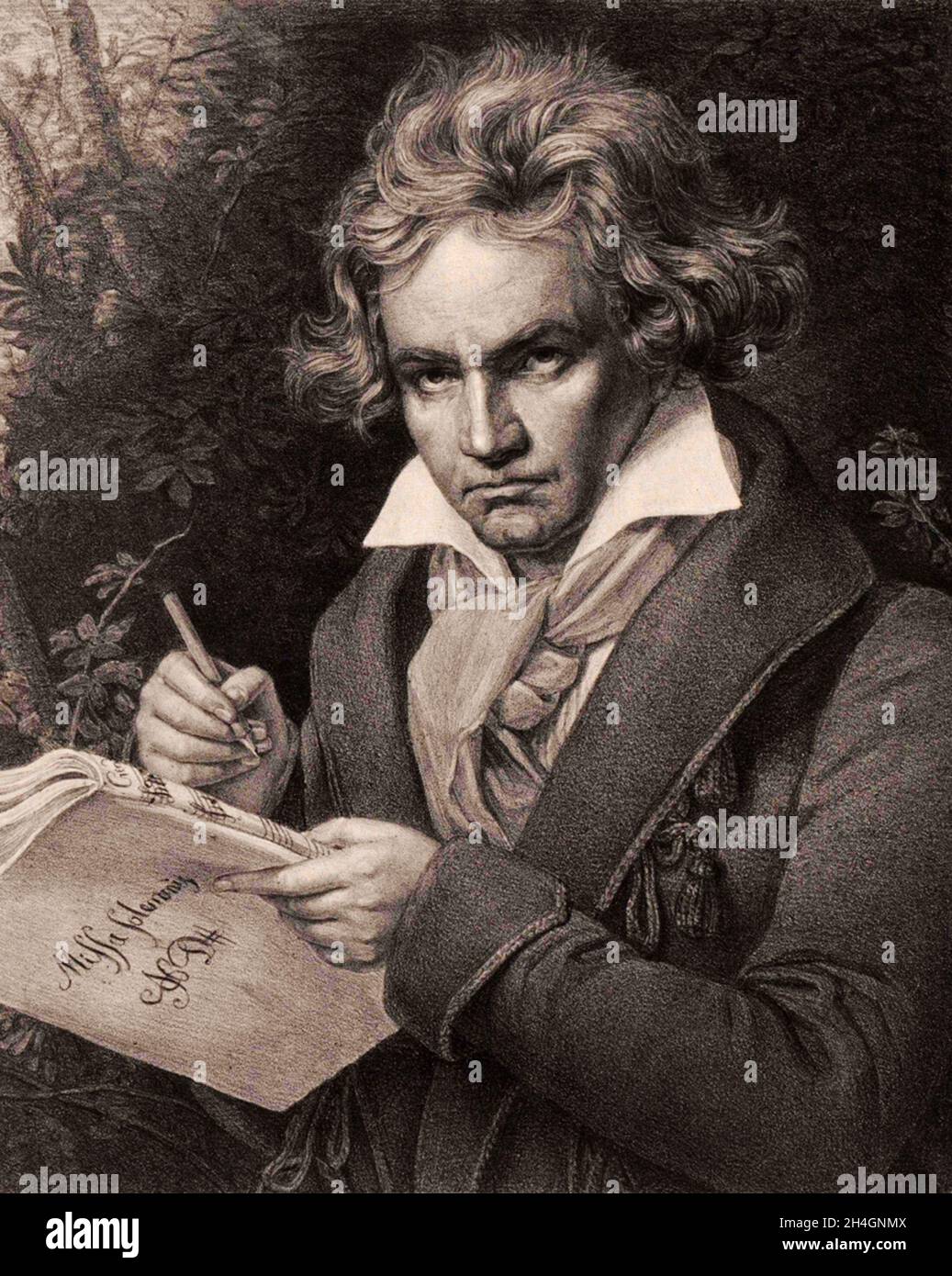 A portrait of the German composer Ludwig van Beethoven Stock Photo Alamy