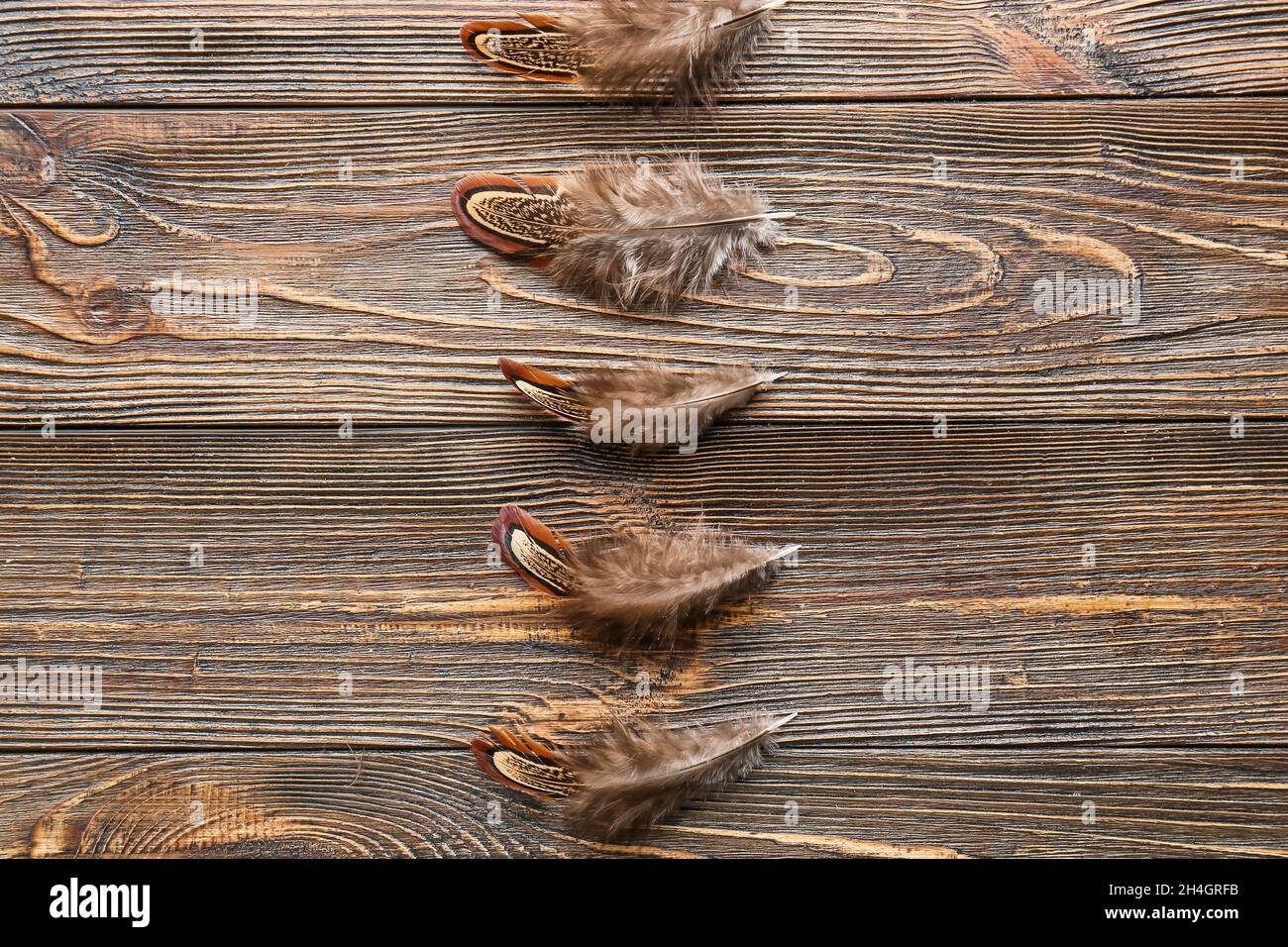 Pheasant Falling Pheasant falling hi-res stock photography and images - Alamy