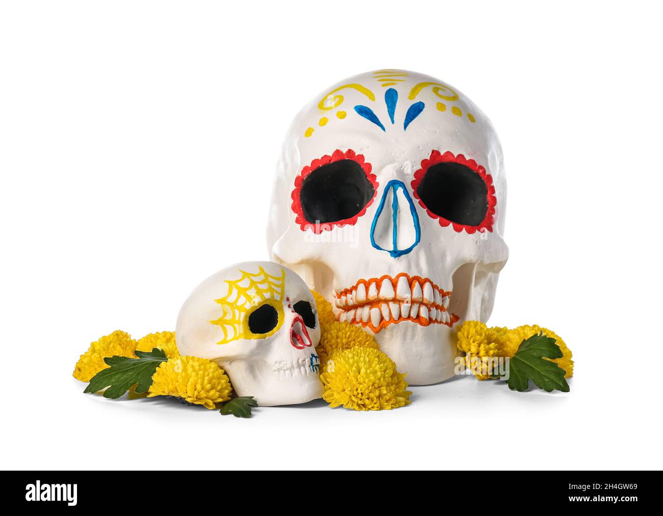 Painted human skulls for Mexico's Day of the Dead (El Dia de Muertos) with flowers on white background Stock Photo