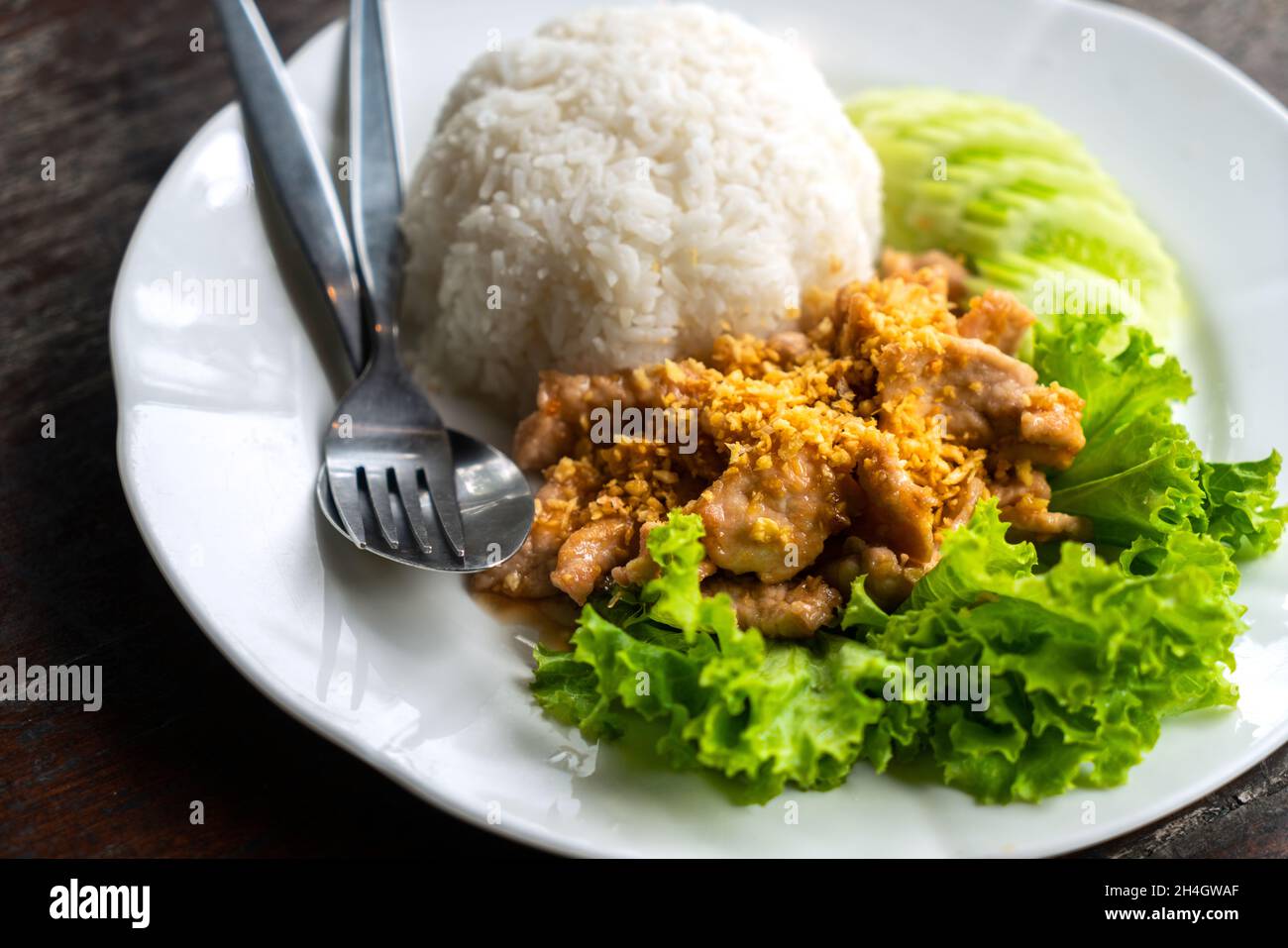 Deepfried pork with garlic with Jasmine white rice in white plate