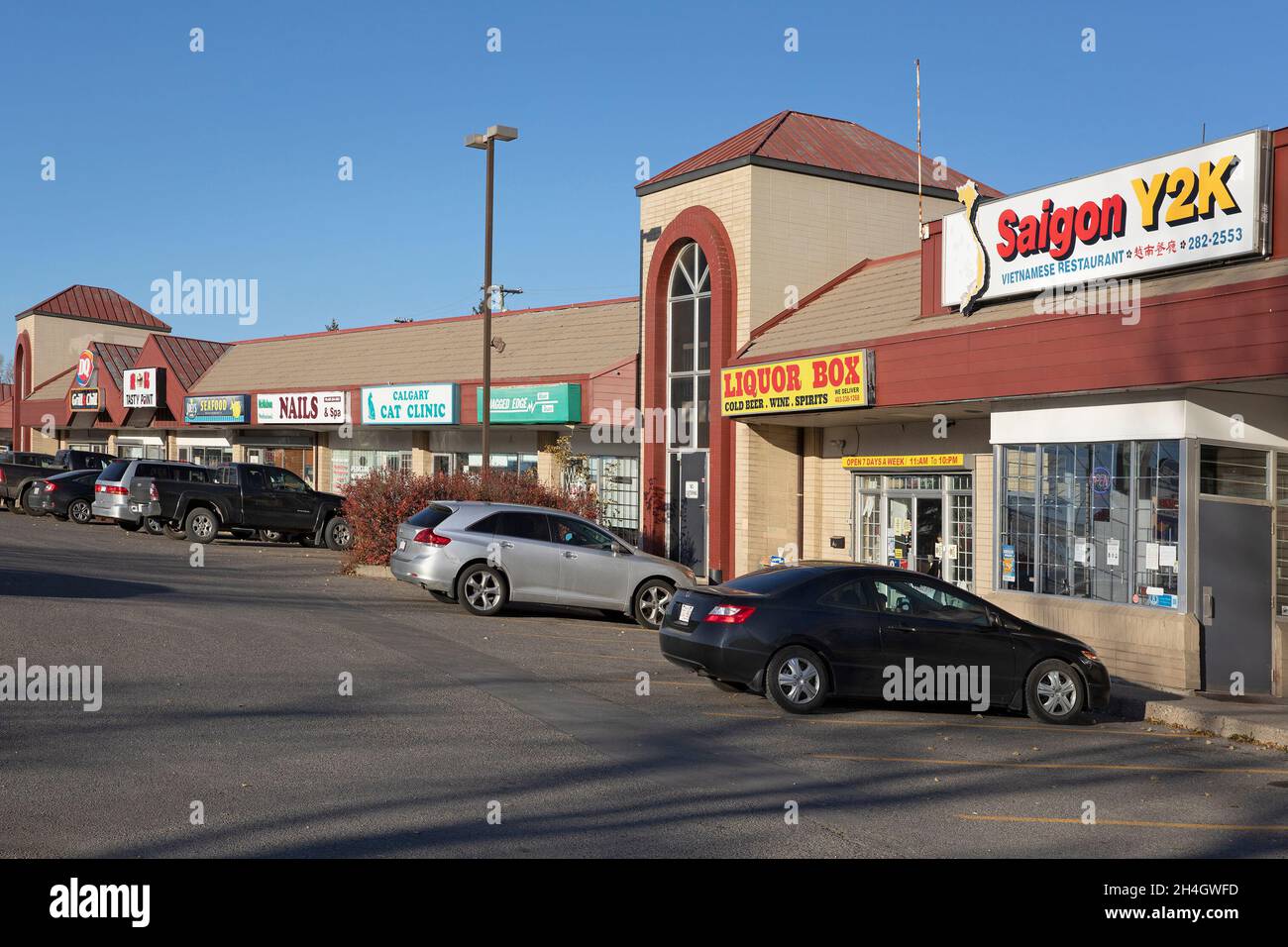 Small business storefronts in a strip mall including a Vietnamese restaurant, liquor store, hair salon, cat clinic, spa, and fast food restaurants. Stock Photo