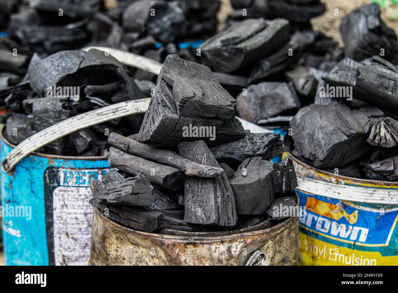 A view of charcoal packed in the tins ready for sale in Nakuru.Trees
