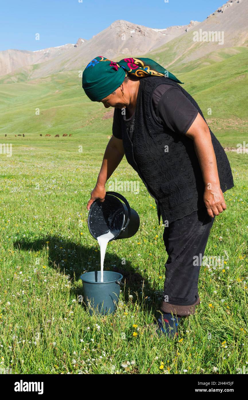 Kyrgyz woman pouring mare's milk into a bucket, Song Kol Lake, Naryn Province, Kyrgyzstan, Central Asia Stock Photo