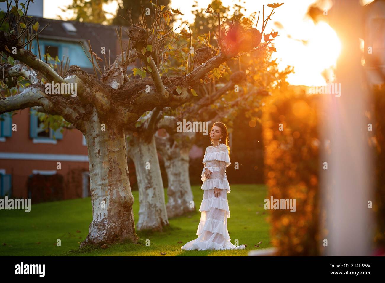 A bride in a white wedding dress in a park in an Austrian town with large trees at sunset. Stock Photo