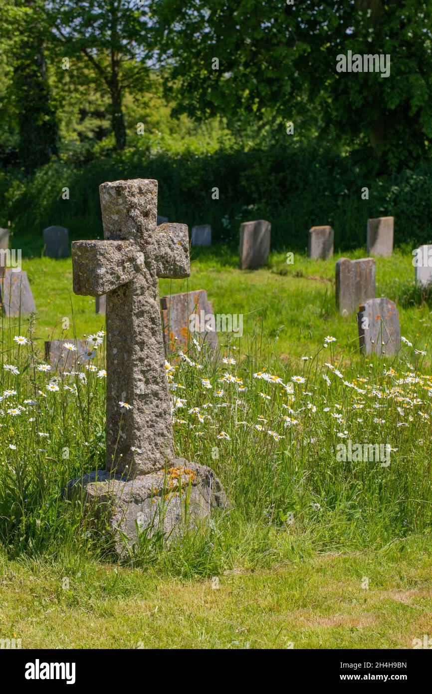 Back to nature, a managed churchyard, grave yard, with areas left  and seasonally mown, with wildlife, biodiversity, animal and plant, given considera Stock Photo