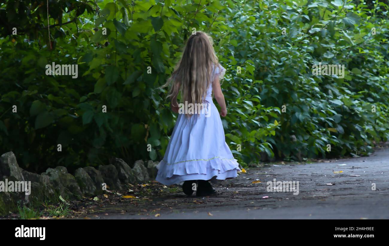 Rear view of a little girl in a white dress walking on the path near ...