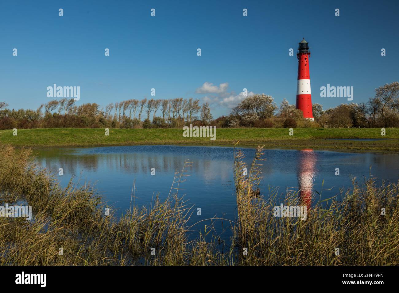 Lighthouse, Pellworm, North Frisia, Schleswig-Holstein, Germany Stock Photo