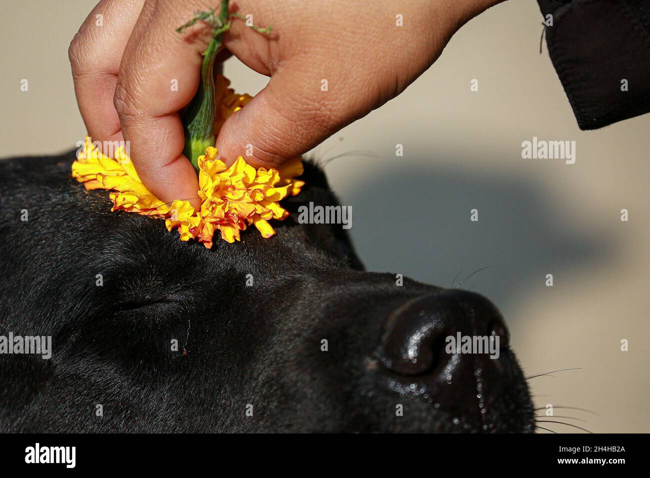 Page 3 Hindu God Of Death High Resolution Stock Photography And Images Alamy