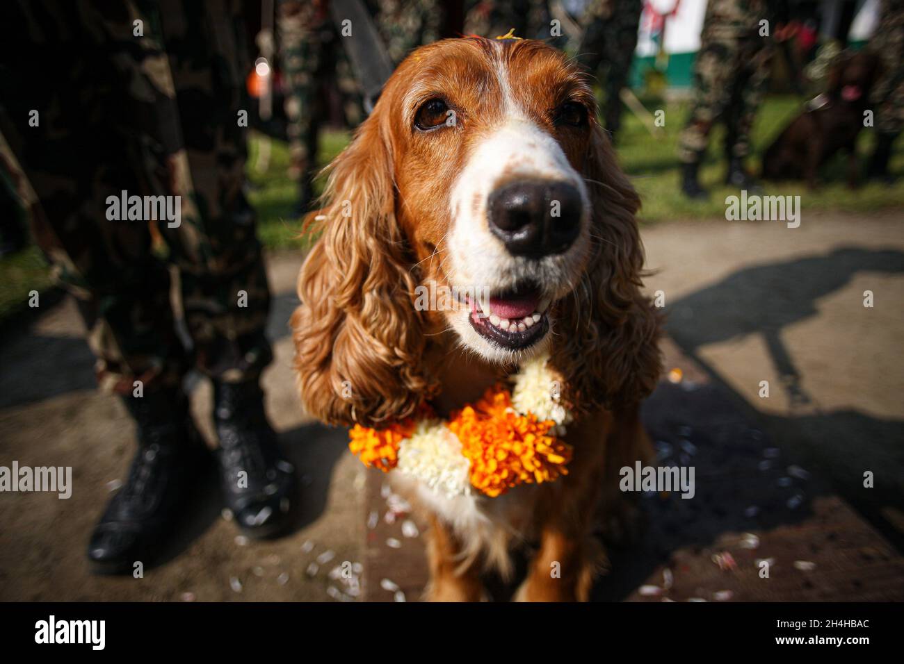 Page 3 Hindu God Of Death High Resolution Stock Photography And Images Alamy
