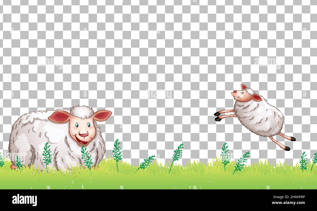 Many sheeps on transparent background illustration Stock Vector