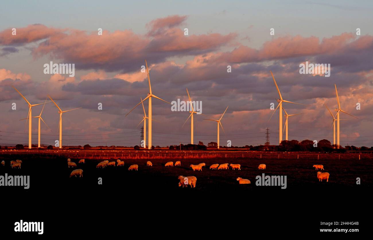 A general view of some of the 26 wind turbines at that make up the Little Cheyne Court Wind Farm on the Romney Marsh near Dungeness in Kent. The turbines, each 115 metres high, are distributed over an area of 4 square kilometres with a peak generation of 59.8 megawatts, generating enough electricity to power 32,000 homes. Picture date: Tuesday November 2 , 2021. Stock Photo
