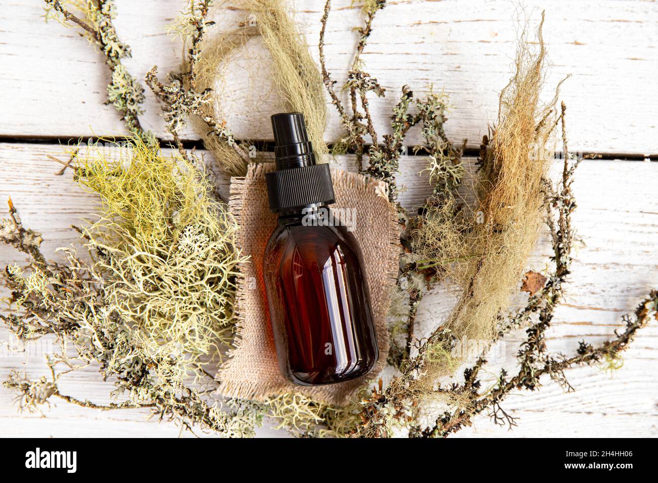 Brown pipette bottle with herbal lichen medicine tincture inside concept. Usnea barbata or old man's beard or beard lichen tincture concept. Flat lay. Stock Photo