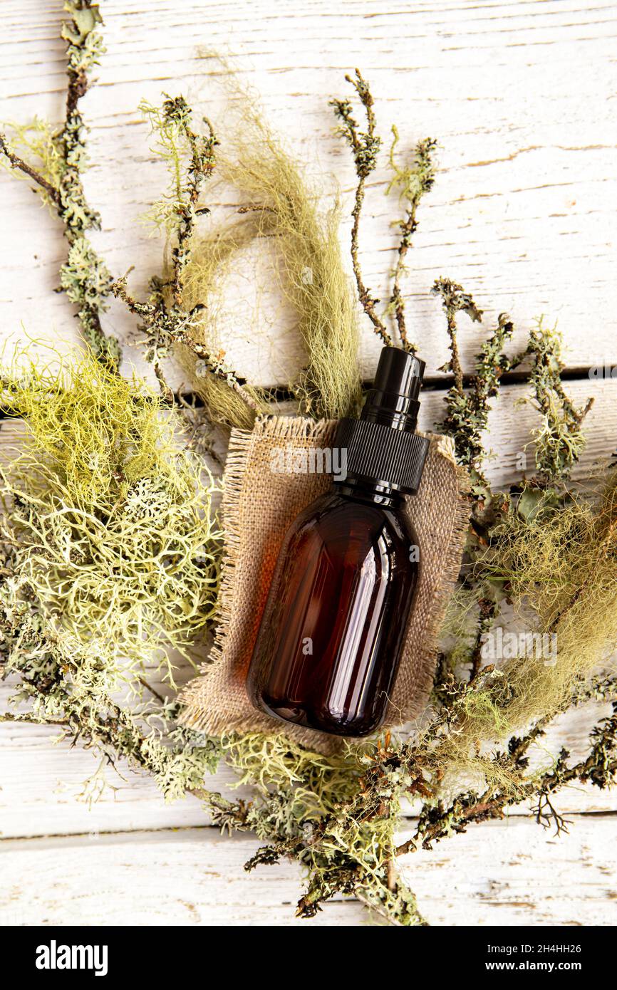 Brown pipette bottle with herbal lichen medicine tincture inside concept. Usnea barbata or old man's beard or beard lichen tincture concept. Flat lay. Stock Photo