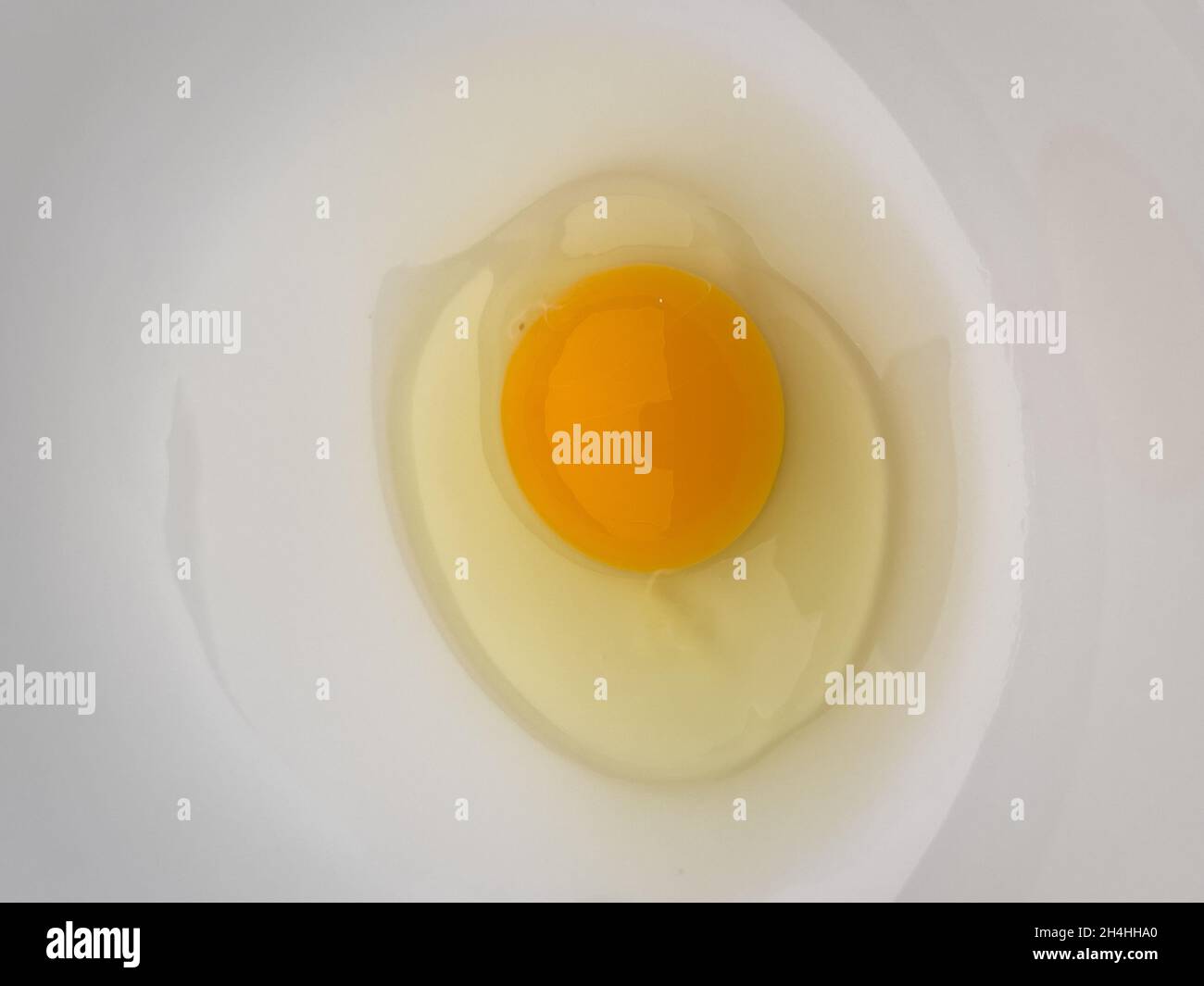 One bright yellow raw chicken egg in a white bowl Stock Photo Alamy