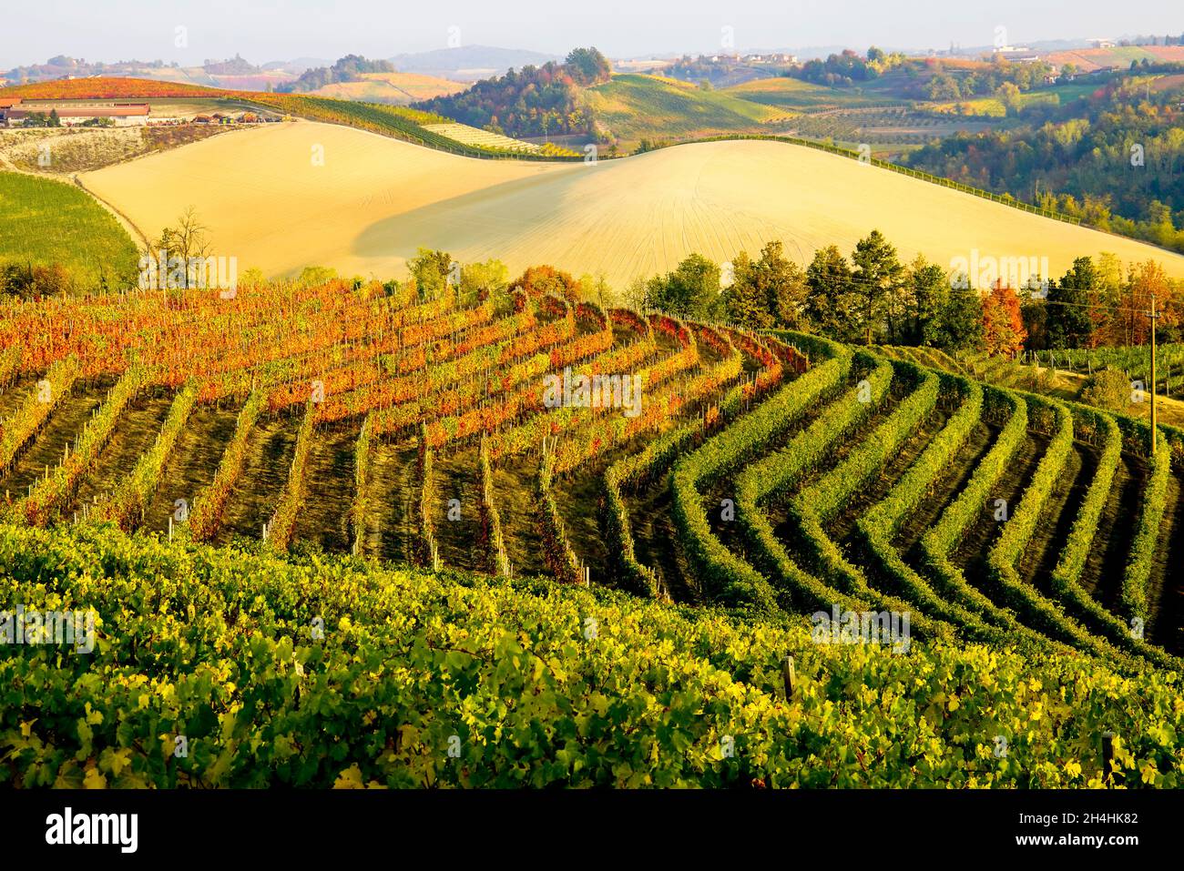 The picturesque Vinyard Landscape of Piemonte Langhe-Roero and Monferrato, UNESCO World Heritage, Italy. Stock Photo