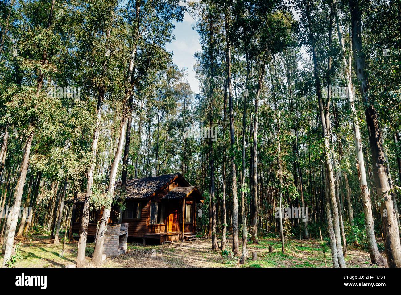 Log cabin in the middle of the forest Stock Photo