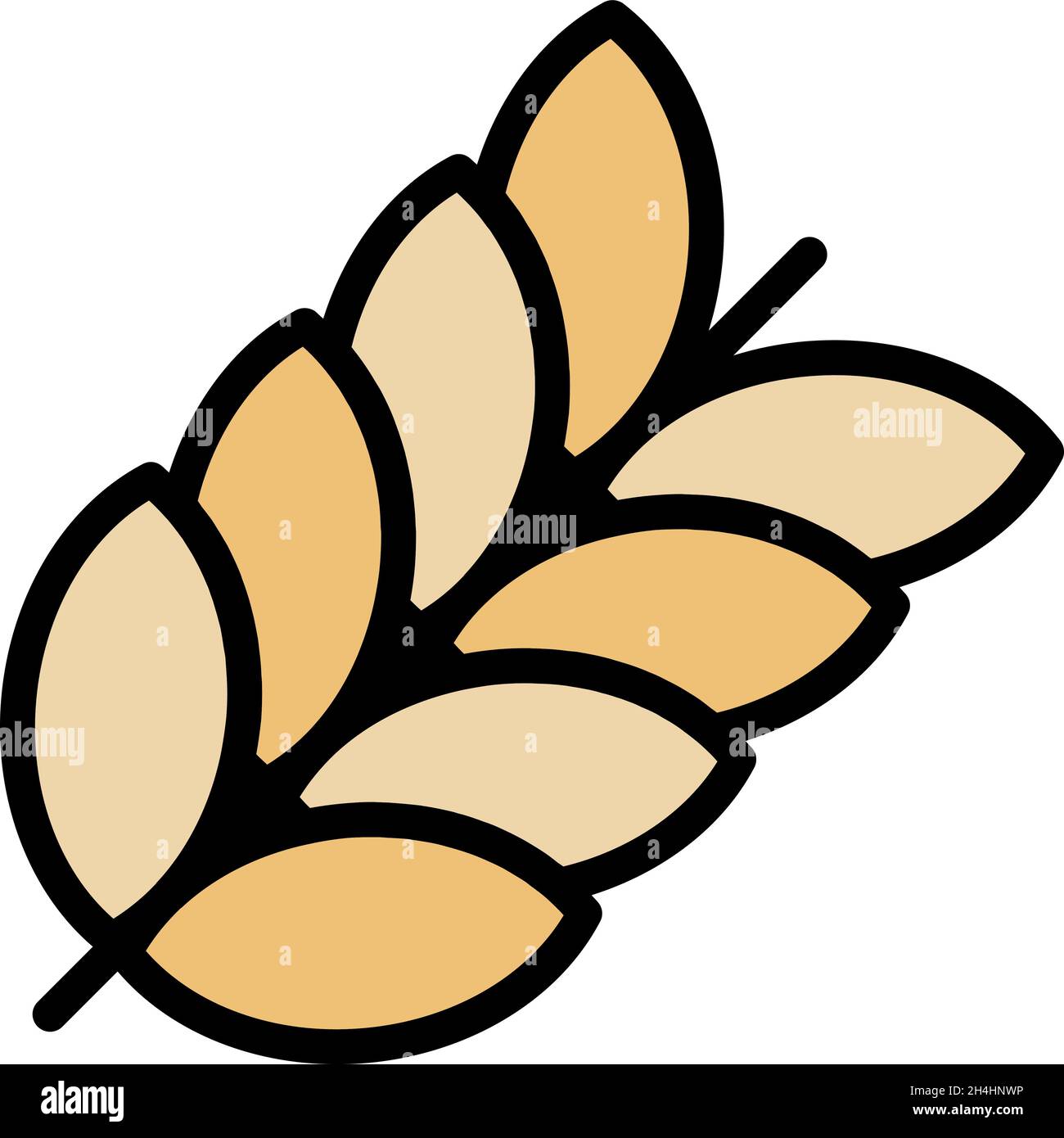 Whole grain icon. Outline whole grain vector icon color flat isolated