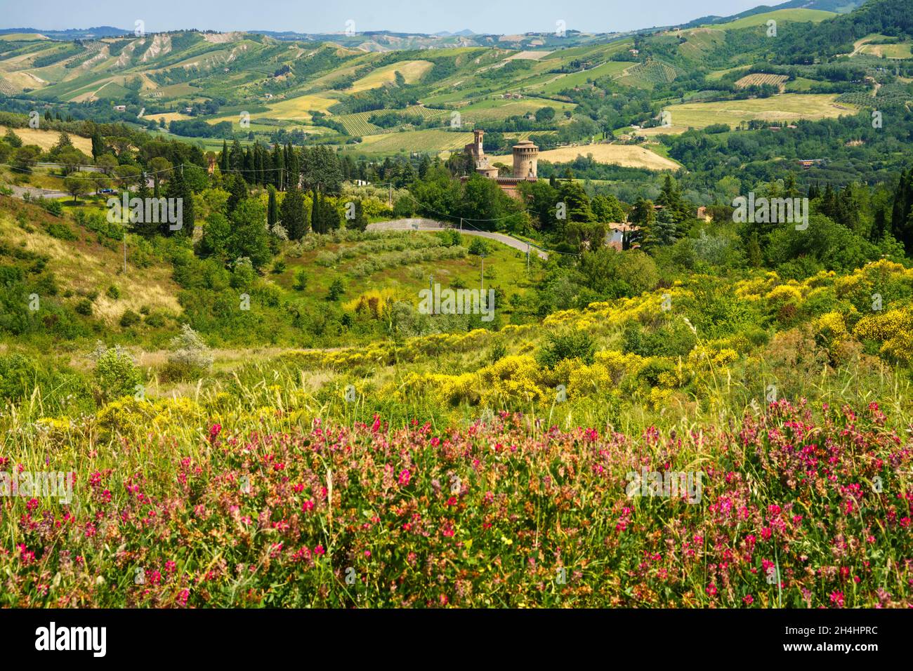 Country landscape on the hills in the Ravenna province, Emilia-Romagna,  Italy, near Riolo Terme and Brisighella, at springtime Stock Photo - Alamy, image size:1300x956