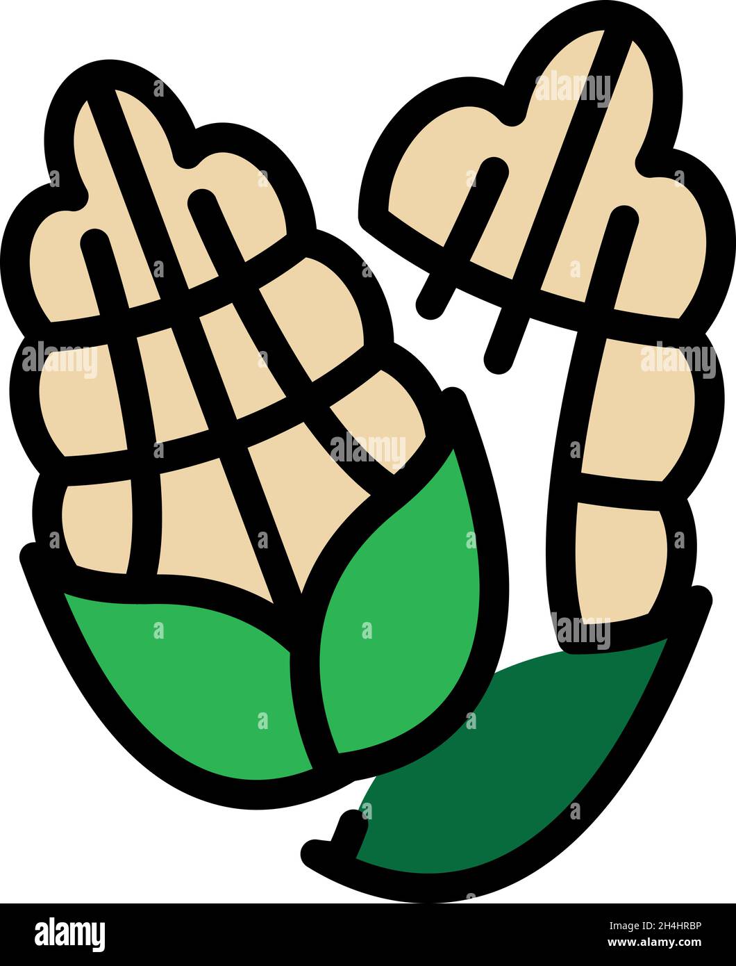 Farm corn icon. Outline farm corn vector icon color flat isolated Stock ...