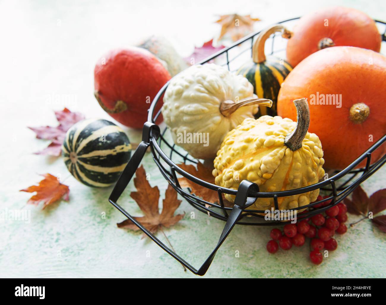 Fall composition with multi color pumpkins on rustic background Stock ...