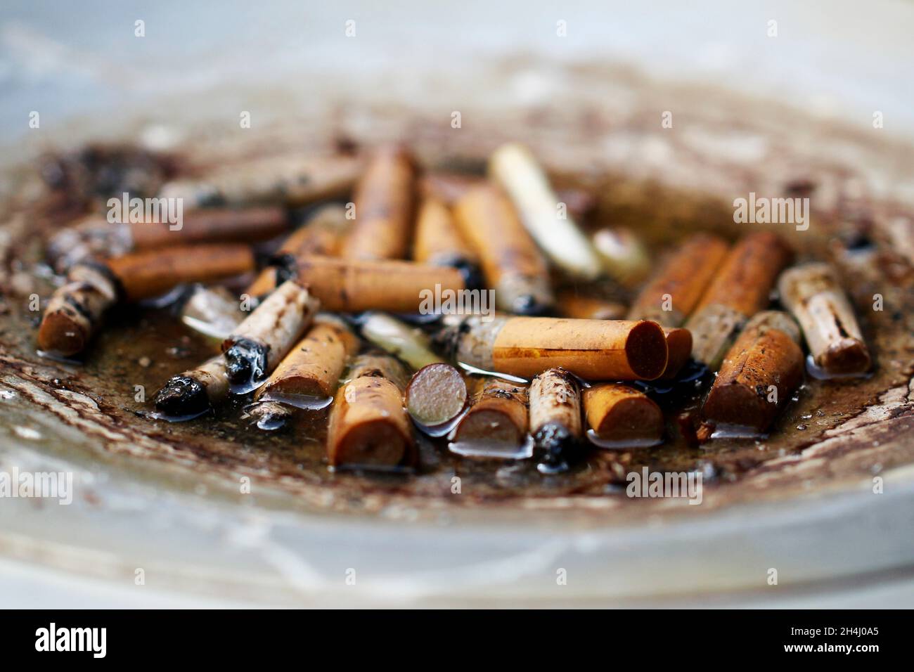 Viele Zigarettenstummel in einem grauen Standaschenbecher, draußen stehend, in den es hinein geregnet hat. Stock Photo
