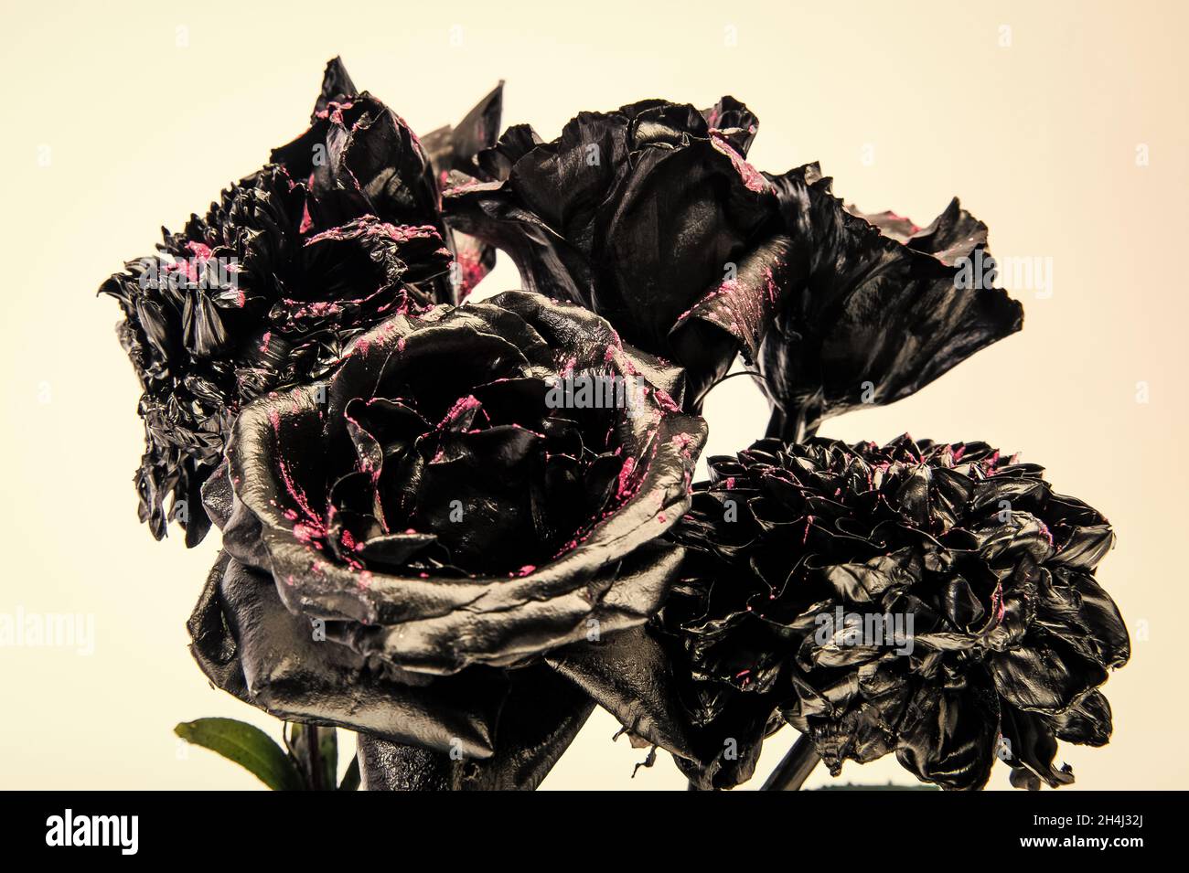 Burned to ashes. Burned flowers isolated on white. Dark flowers with