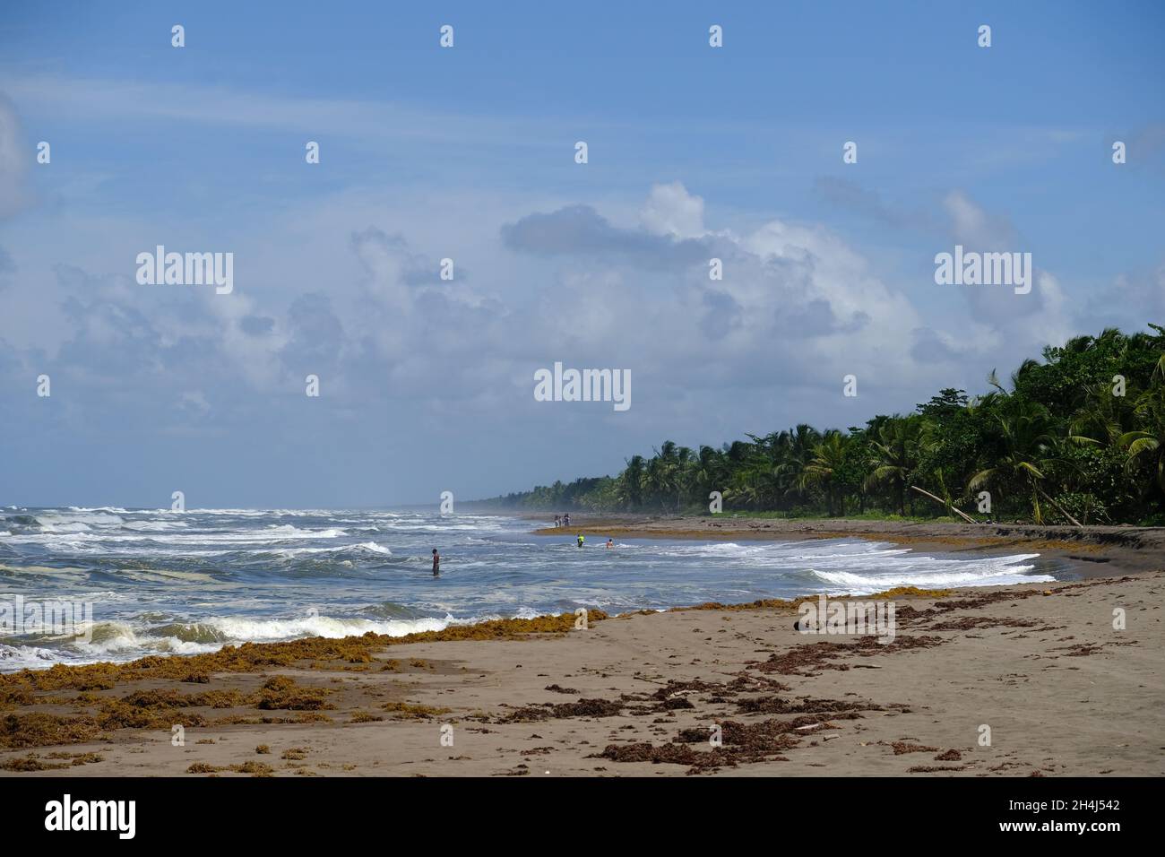 Costa Rica Tortuguero National Park - Parque Nacional Tortuguero - Coastline Tortuguero Village Stock Photo