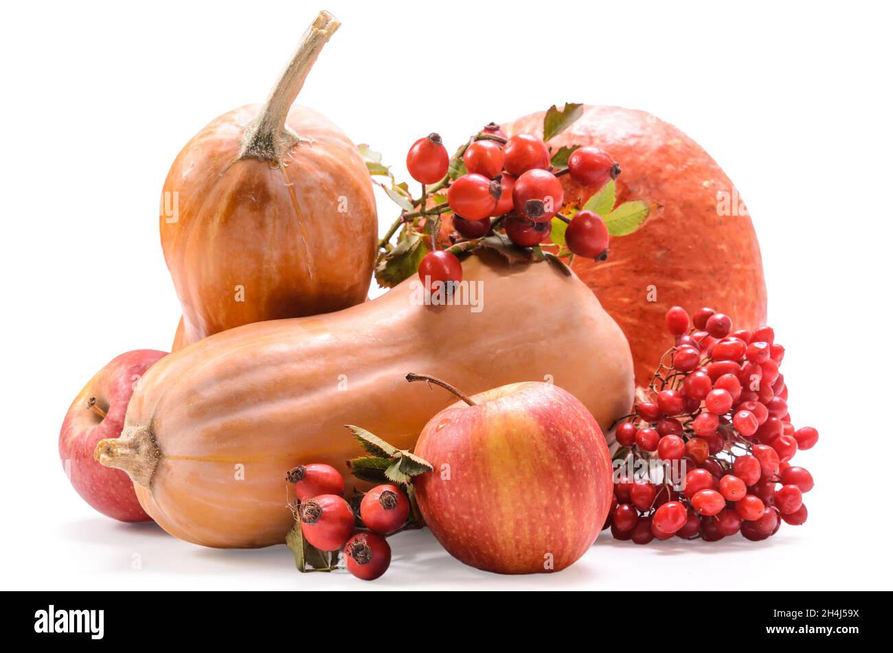 pumpkin and other fruits on white background with soft shadow Stock Photo